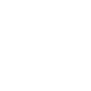Mission Critical Cyber Security